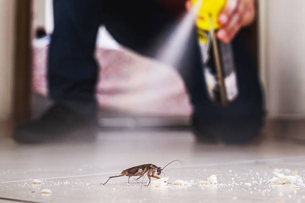 Best Best Pest Control Companies  in Kaibito, AZ
