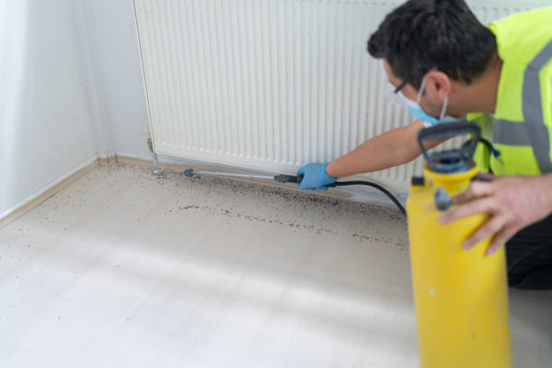 Best Local Pest Control Services  in Kaibito, AZ